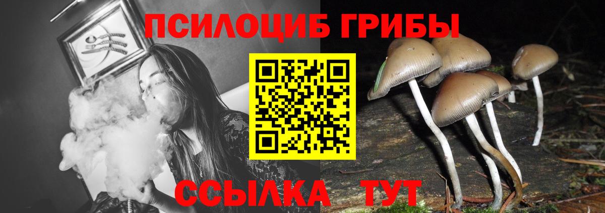 Галлюциногенные грибы Psilocybine cubensis  Вход с VPN  Галлюциногенные грибы MAGIC MUSHROOMS  Чайковский 